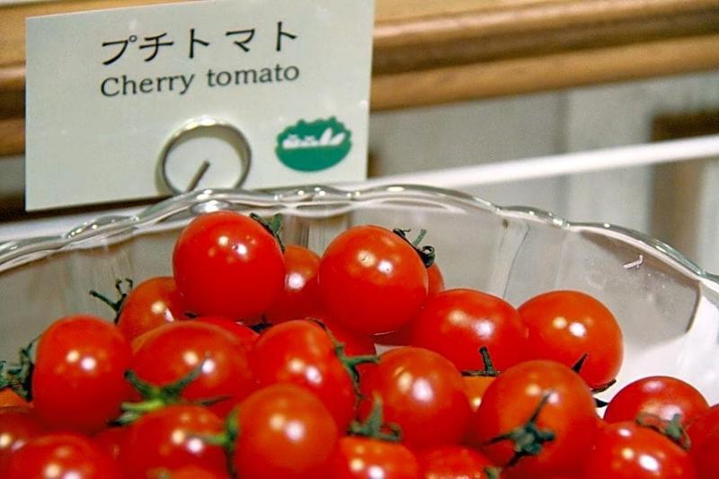 Shinkoiwa Park Hotel Tokio Zewnętrze zdjęcie